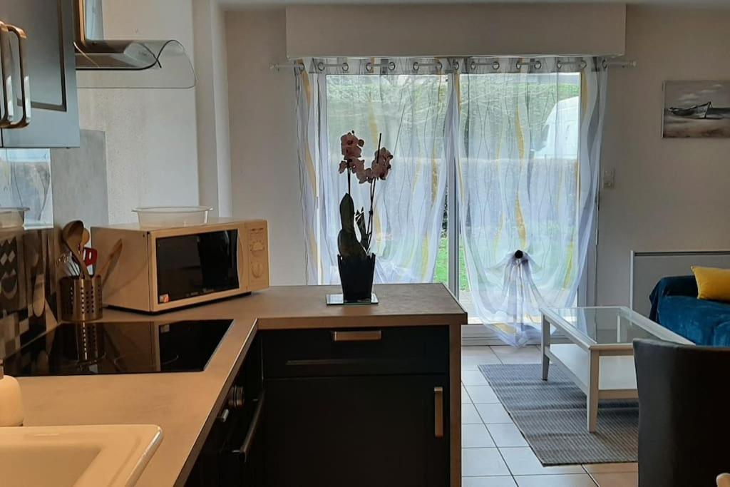 Hyper Centre De Sarzeau, Grand Appartement Au Calme Avec Jardinet Εξωτερικό φωτογραφία
